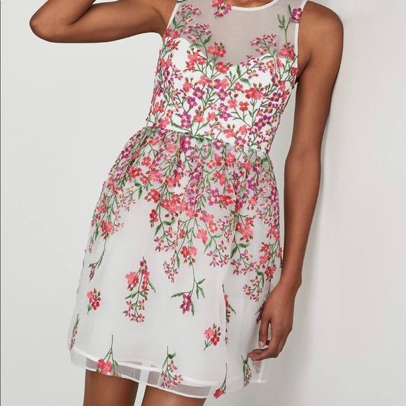 Brand new BCBG embroidered floral flare dress - Picture 1 of 2